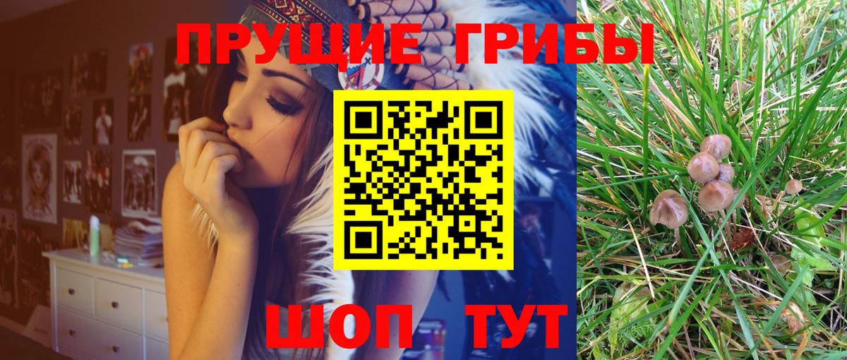 Галлюциногенные грибы MAGIC MUSHROOMS  Вход с VPN  купить наркотики цена  Саянск 